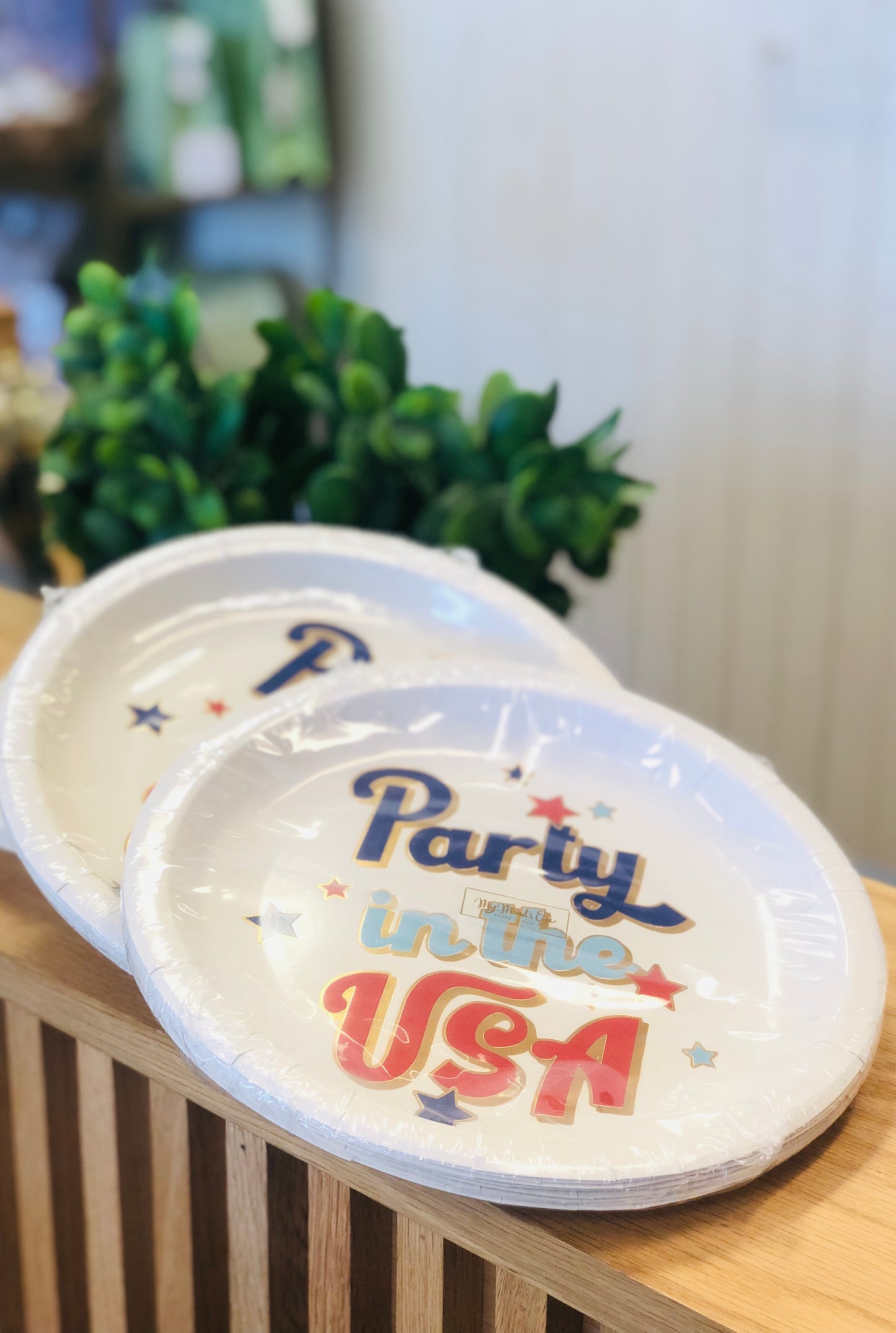 Party in the USA Paper Plate