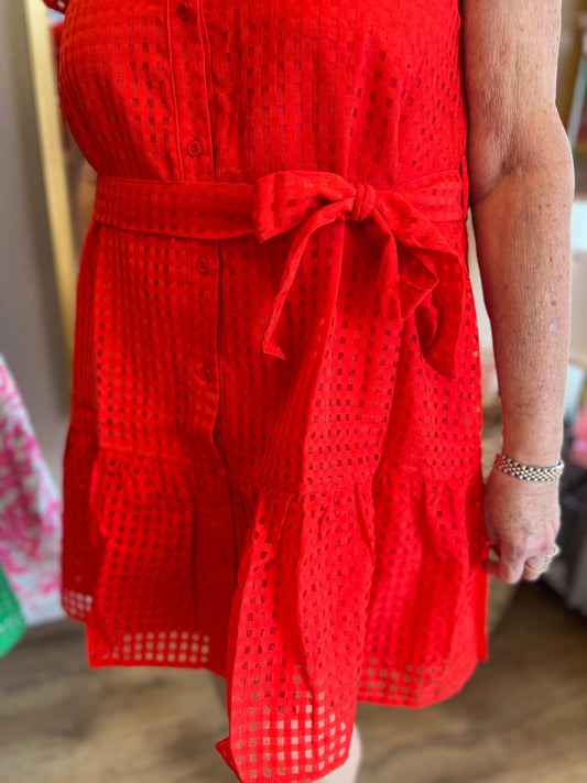 "Baby, You're a Firework" Red Organza Dress