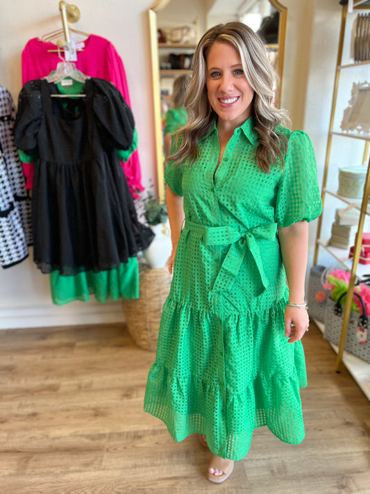 "Dreaming of Spring" Green Organza Midi Dress